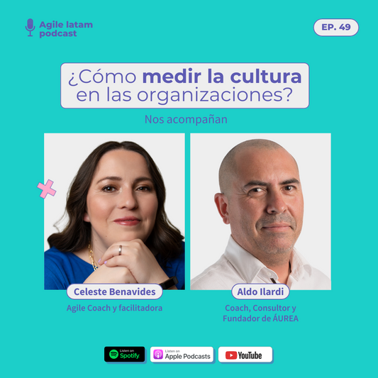 Capítulo 49: ¿Cómo medir la cultura en las organizaciones?